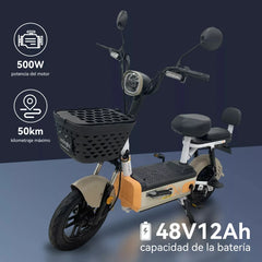 BICICLETA ELECTRICA CX-D12