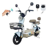 Moto Electrica Bicicleta Para Adulto 500w 30km/h DEYLINGS