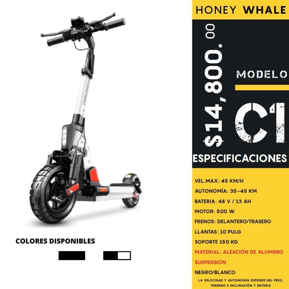 Patin electrico HW-C1