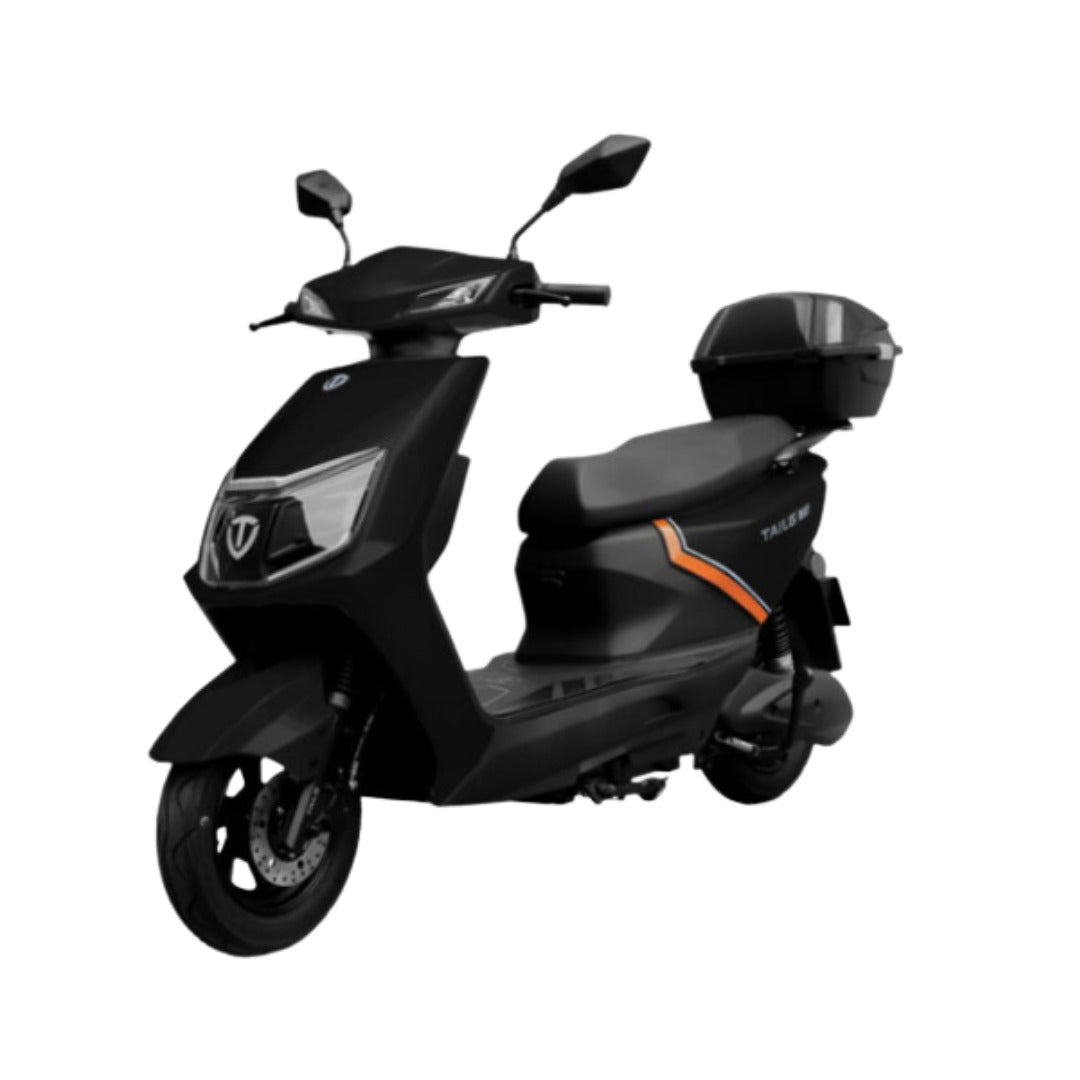 Moto electrica TAILG-RAY