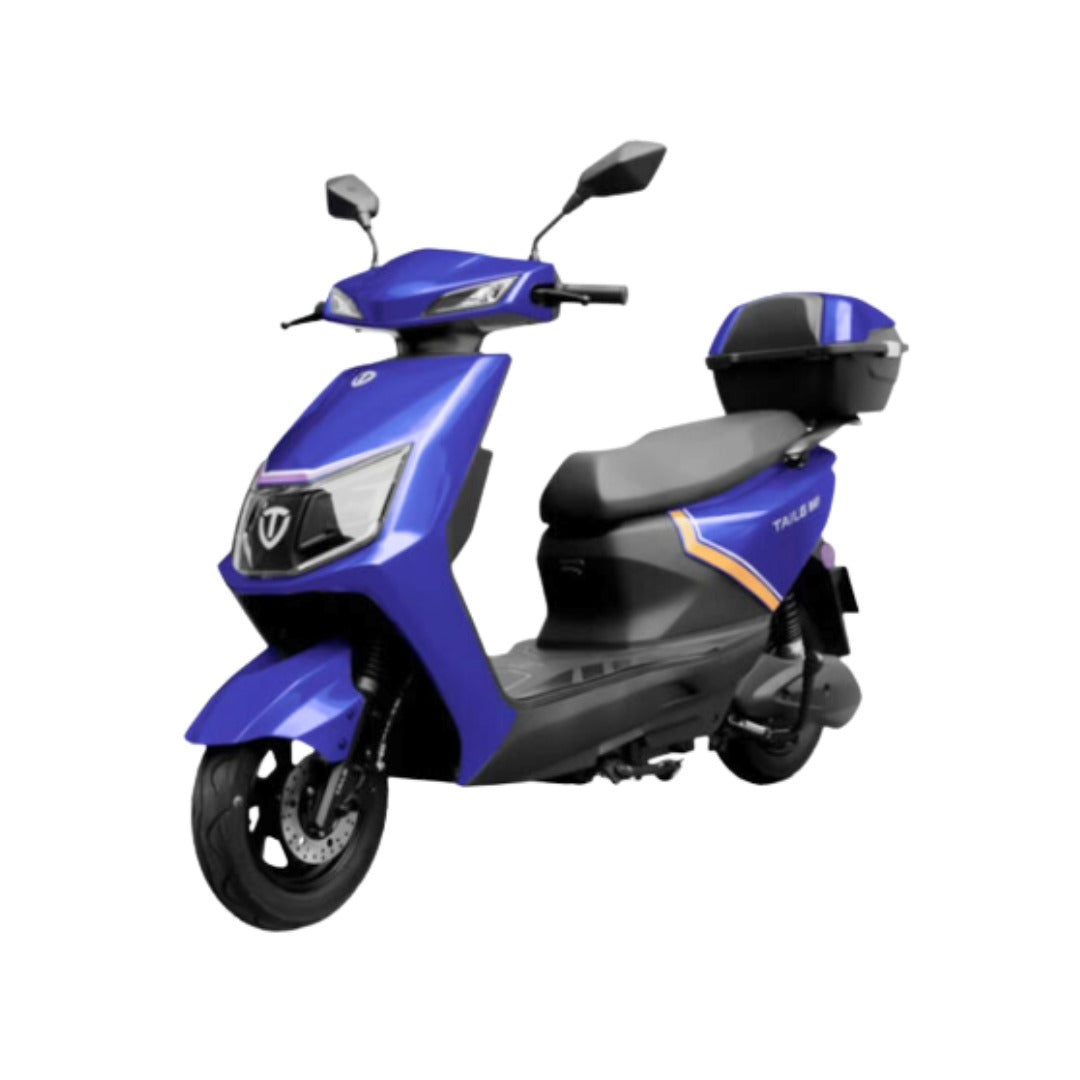 Moto electrica TAILG-RAY