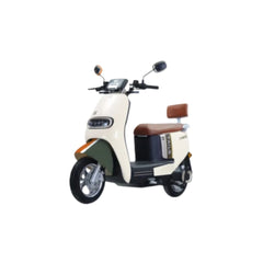 Moto electrica TAILG-PIONERO