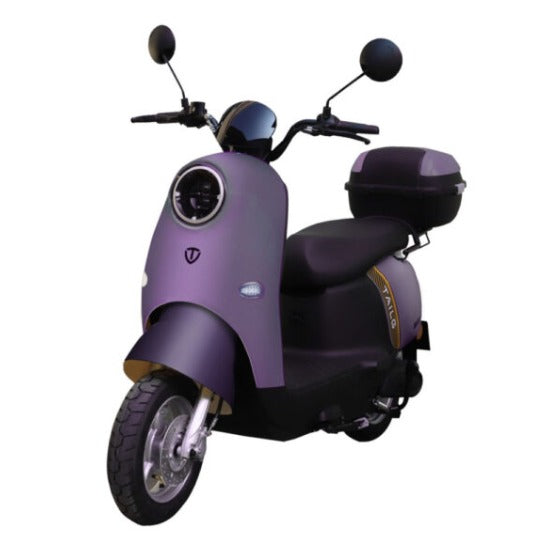 Moto electrica TAILG-SUERTE