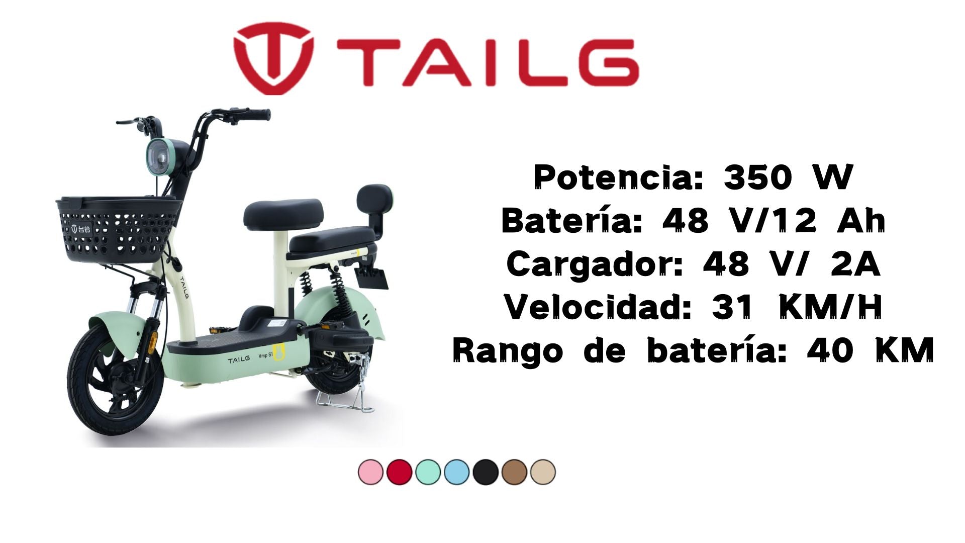 Moto electrica TAILG-VMP S1