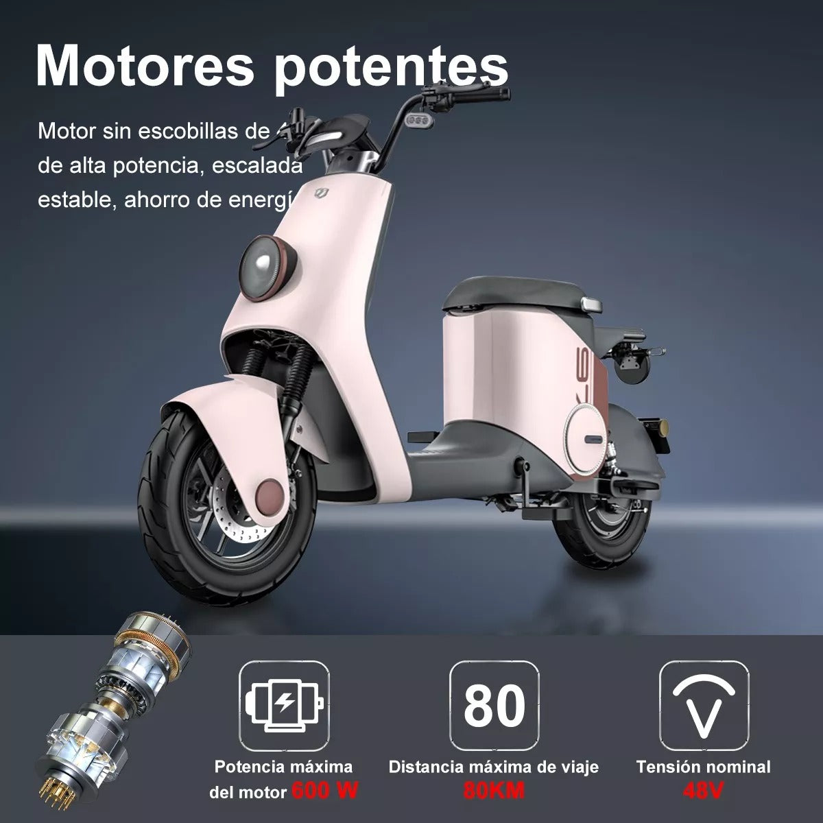 Moto Bici Electrica ZQQ2 ( INNO5)