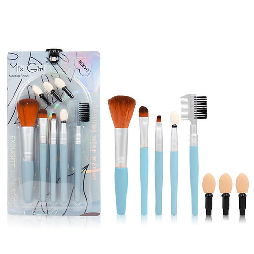 (12 pzas) Set de brochas básicas W205 SANIYE