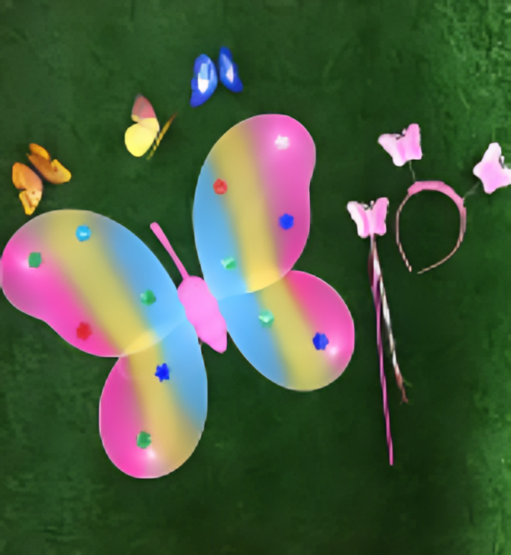 Conjunto de disfraz de mariposa - FC-004