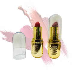 Labial Colores Solidos H8